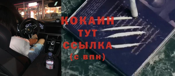 МДПВ Волосово