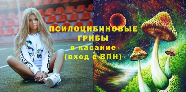 МДПВ Волосово