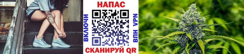 Каннабис конопля  сколько стоит  Канск 